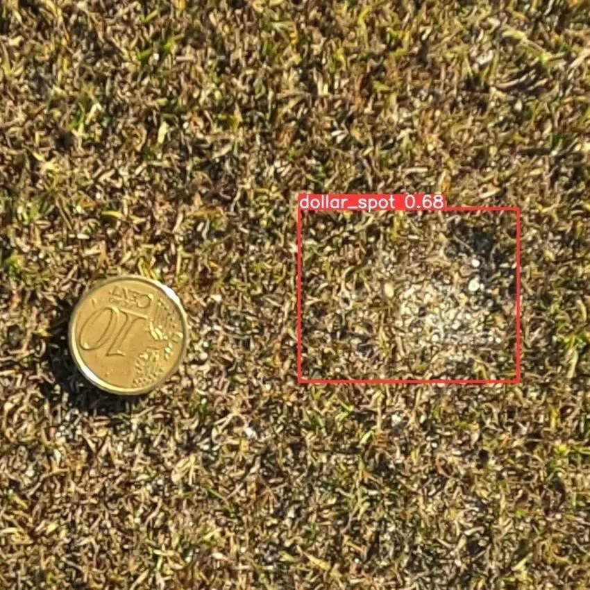 Green Illness Detection in azione